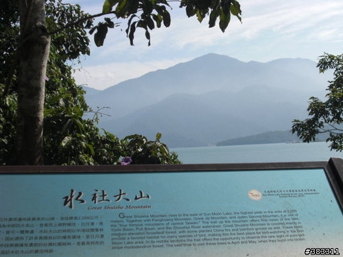 櫻花開了-日月潭環湖與月潭自行車道