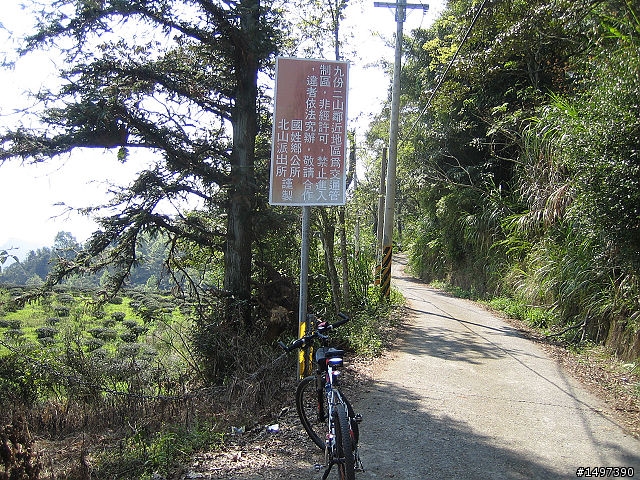 一趟未知的旅程~埔里九份二山