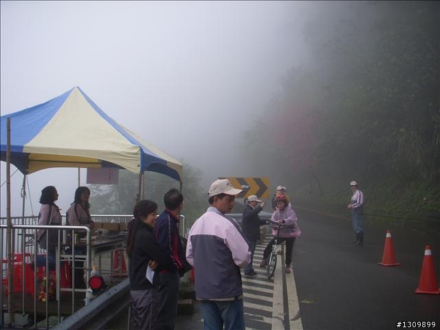 桃園縣復興鄉「2010年櫻花季暨自行車逍遙遊活動」 沒來真的很可惜喔
