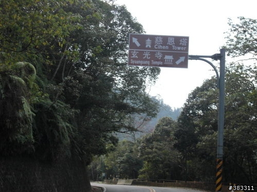 櫻花開了-日月潭環湖與月潭自行車道