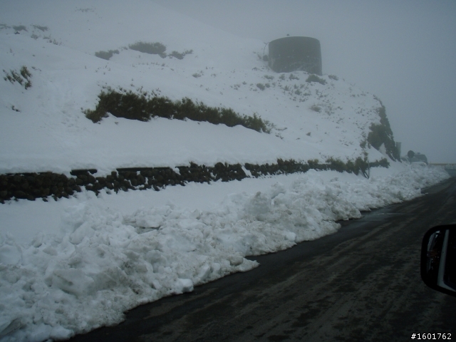 雪見武嶺(2010/2/23~2010/2/24)