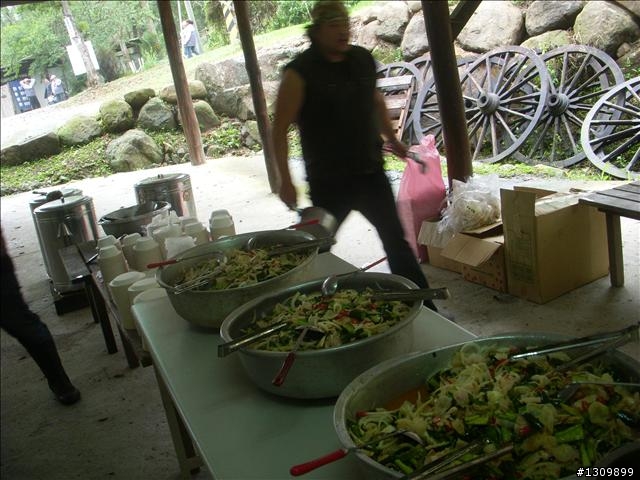 桃園縣復興鄉「2010年櫻花季暨自行車逍遙遊活動」 沒來真的很可惜喔