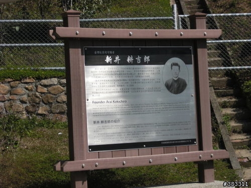 櫻花開了-日月潭環湖與月潭自行車道