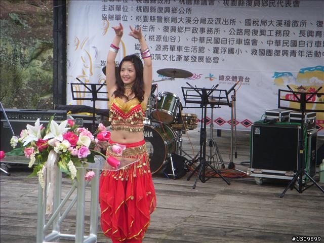 桃園縣復興鄉「2010年櫻花季暨自行車逍遙遊活動」 沒來真的很可惜喔