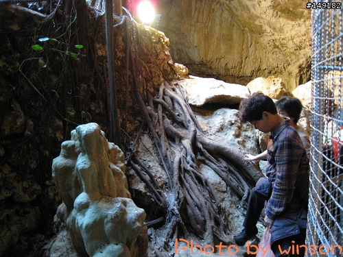 2010 2/14~2/19 春節 6天5夜 單人環島 圖多+文多