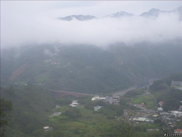 桃園縣復興鄉「2010年櫻花季暨自行車逍遙遊活動」 沒來真的很可惜喔