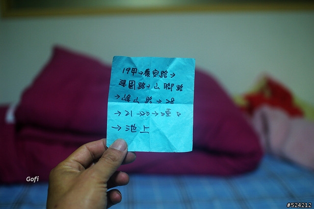 14年老獅~ 2010春節台灣橫貫行 (就是走南橫!)