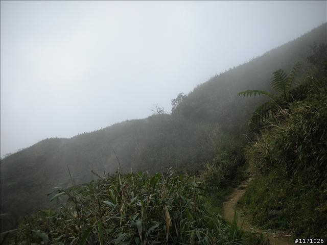 聖母山莊步道
