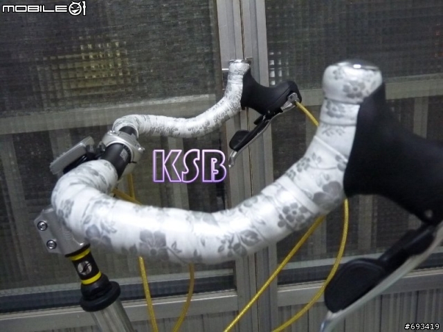 捷安特GIANT平把MR-4改裝羊角把