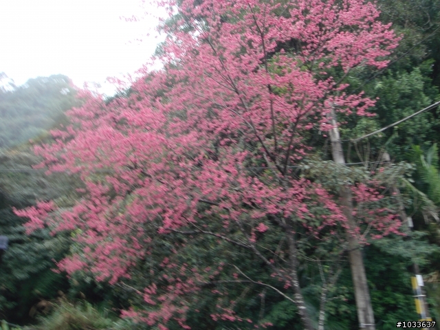 出發吧!來去環島 之 路上被人檢走(完結篇)