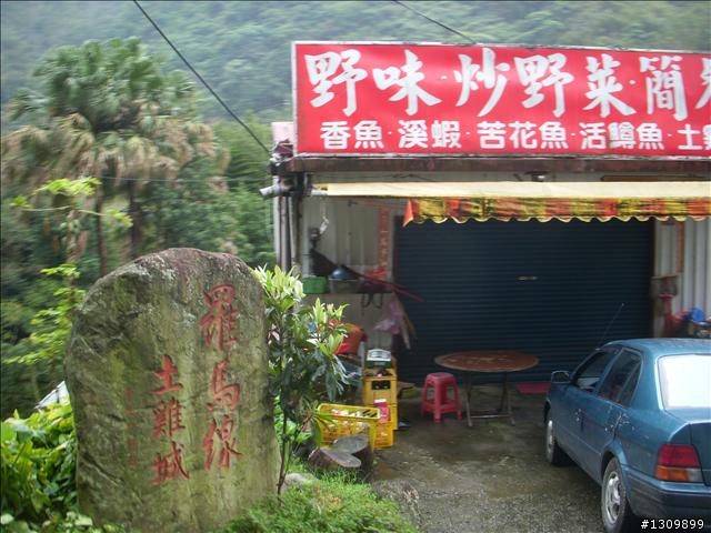 桃園縣復興鄉「2010年櫻花季暨自行車逍遙遊活動」 沒來真的很可惜喔