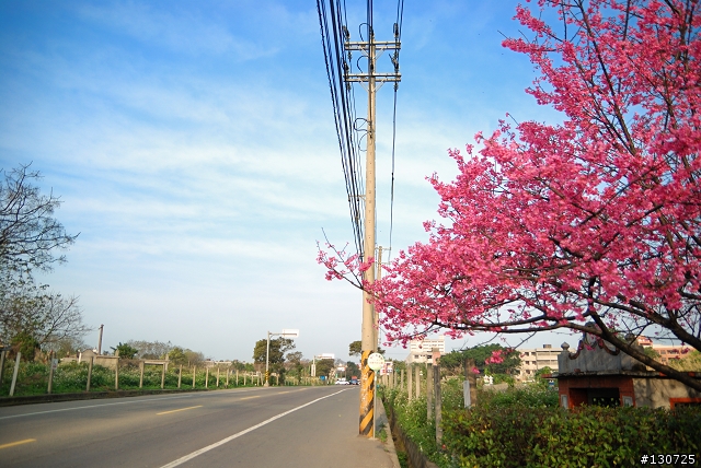忠貞市場櫻花,無名米乾,隱藏版外省婆婆臘肉行