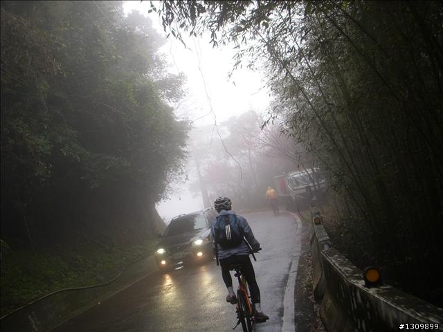 桃園縣復興鄉「2010年櫻花季暨自行車逍遙遊活動」 沒來真的很可惜喔
