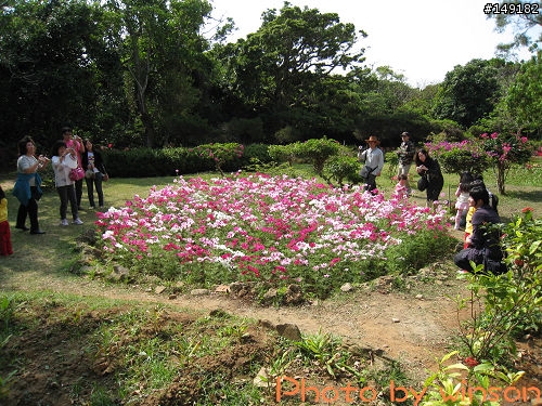 2010 2/14~2/19 春節 6天5夜 單人環島 圖多+文多