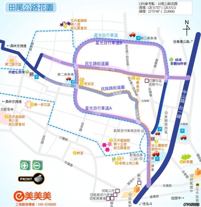 【田尾公路花園】,波斯菊花海