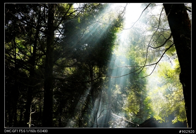 【開箱分享】Panasonic GF1 隨心所欲,初體驗 (2010.02.18 包包入手)
