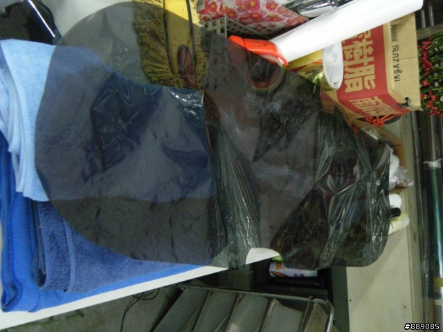 迎虎年,來隻小獅吧~3008開箱~