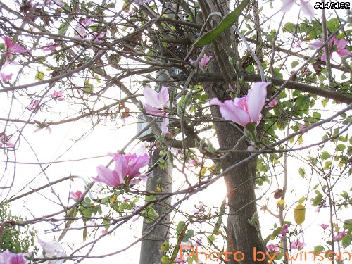 2010 2/14~2/19 春節 6天5夜 單人環島 圖多+文多