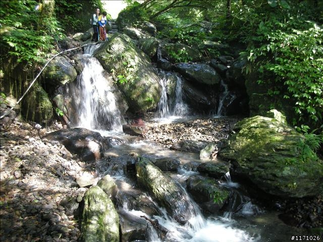 聖母山莊步道