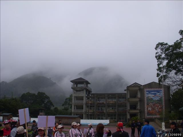 桃園縣復興鄉「2010年櫻花季暨自行車逍遙遊活動」 沒來真的很可惜喔