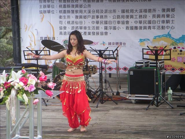 桃園縣復興鄉「2010年櫻花季暨自行車逍遙遊活動」 沒來真的很可惜喔