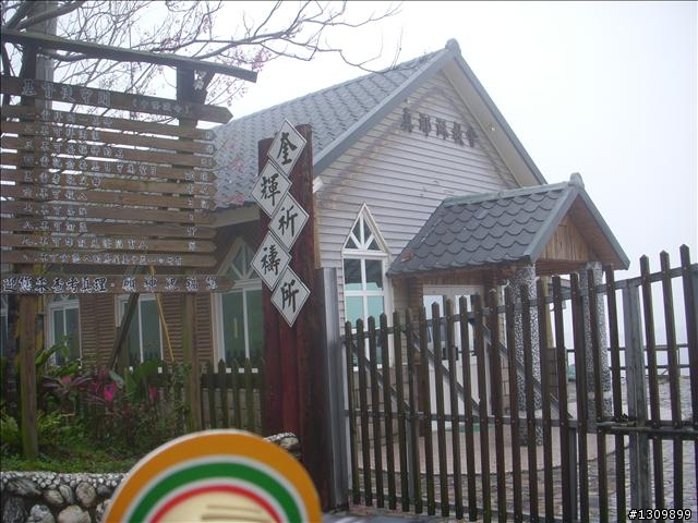 桃園縣復興鄉「2010年櫻花季暨自行車逍遙遊活動」 沒來真的很可惜喔