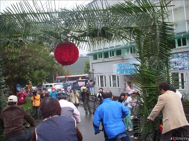 桃園縣復興鄉「2010年櫻花季暨自行車逍遙遊活動」 沒來真的很可惜喔