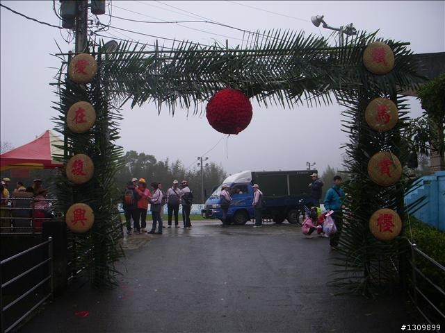 桃園縣復興鄉「2010年櫻花季暨自行車逍遙遊活動」 沒來真的很可惜喔