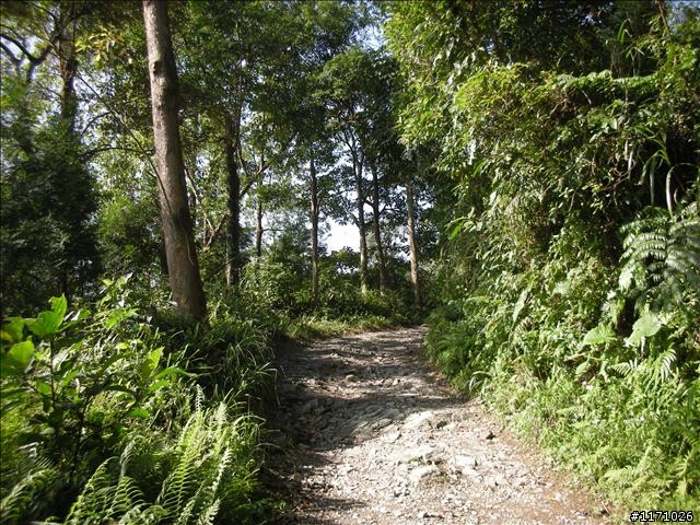 聖母山莊步道