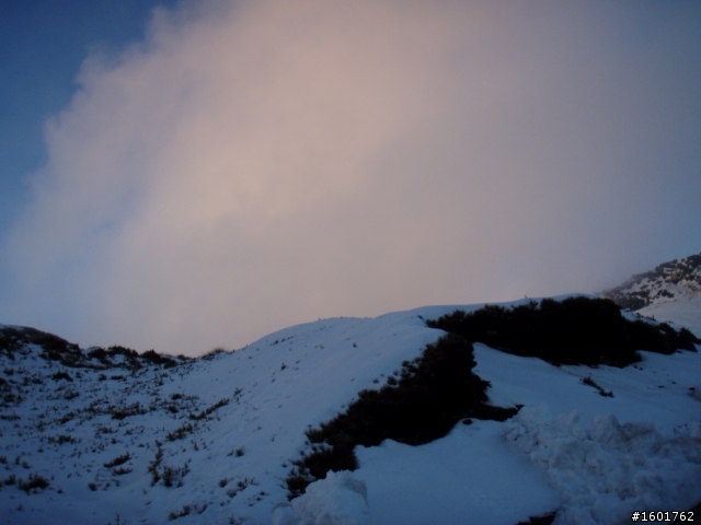 雪見武嶺(2010/2/23~2010/2/24)