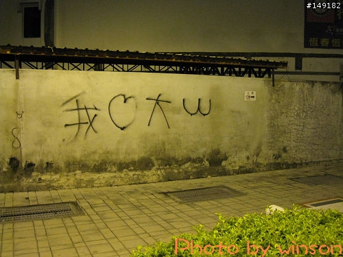 2010 2/14~2/19 春節 6天5夜 單人環島 圖多+文多