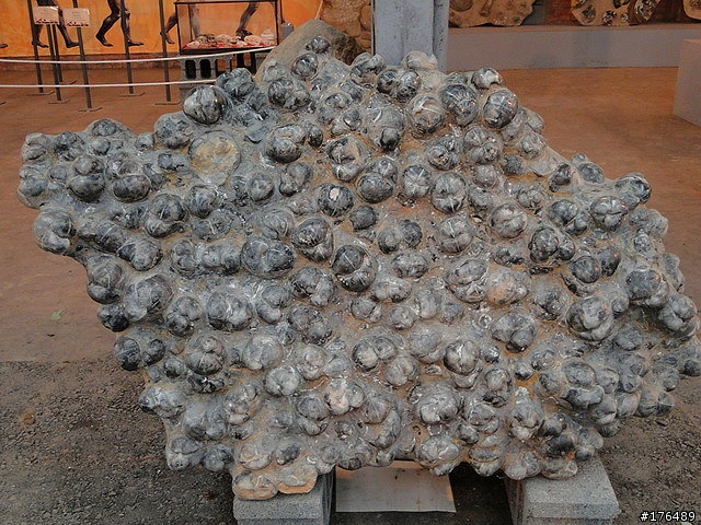 日光石頭博物館