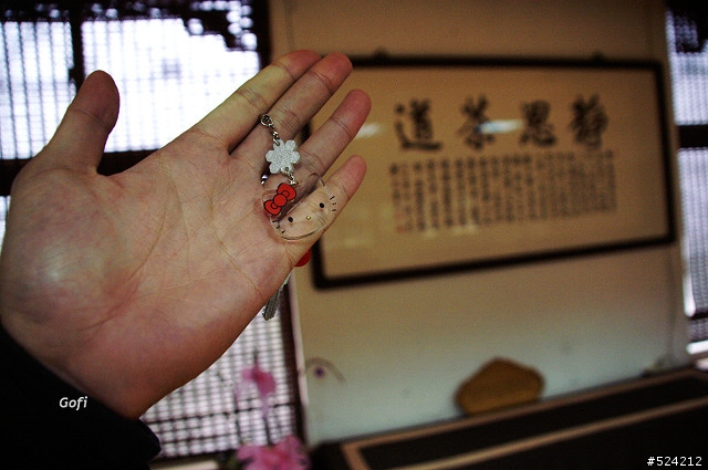 14年老獅~ 2010春節台灣橫貫行 (就是走南橫!)