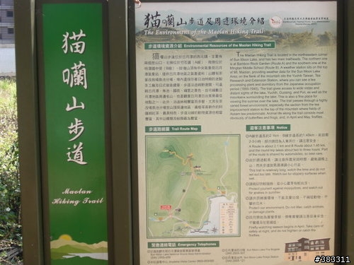 櫻花開了-日月潭環湖與月潭自行車道
