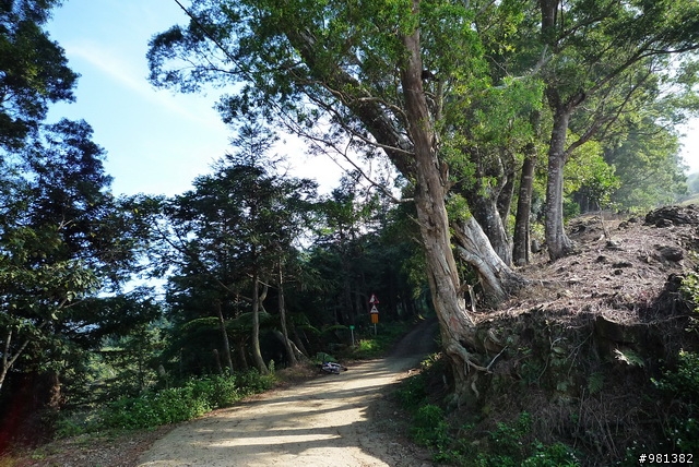 1/30 小而美的水田林道支線