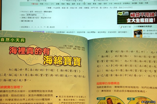 天哪!!原來海底真的有很多海綿寶寶