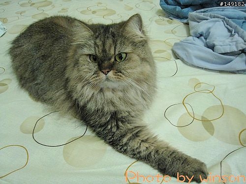 2010 2/14~2/19 春節 6天5夜 單人環島 圖多+文多