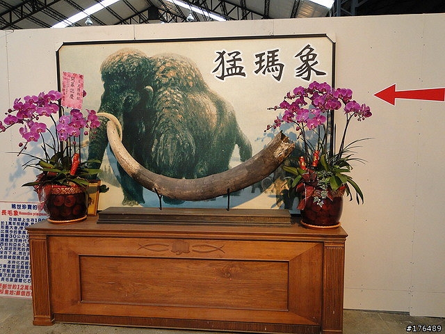 日光石頭博物館