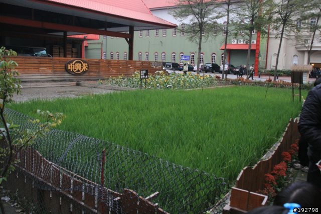 下雨下不完,塞車塞不斷~餓淋古堡之旅=彰化✙中興穀堡✙