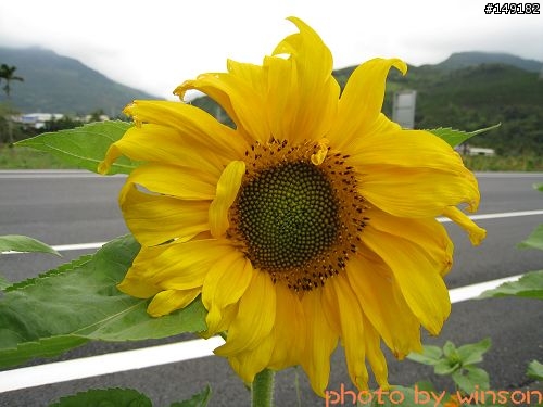 2010 2/14~2/19 春節 6天5夜 單人環島 圖多+文多