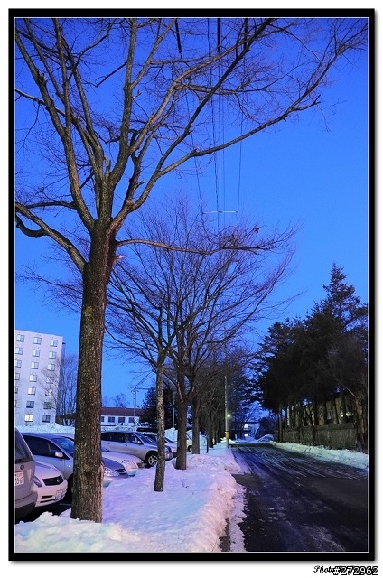 北海道冰天雪地跟團之旅:Day 3 釧路濕原、鶴見台、十勝川