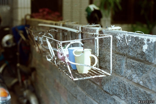 Nikon FE2 電影底片 250D