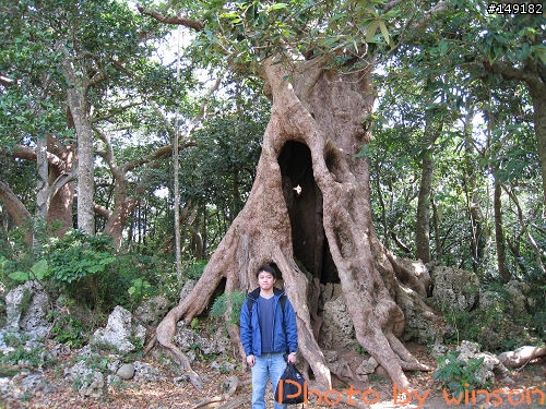 2010 2/14~2/19 春節 6天5夜 單人環島 圖多+文多