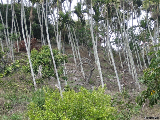 一趟未知的旅程~埔里九份二山