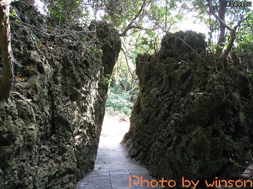 2010 2/14~2/19 春節 6天5夜 單人環島 圖多+文多