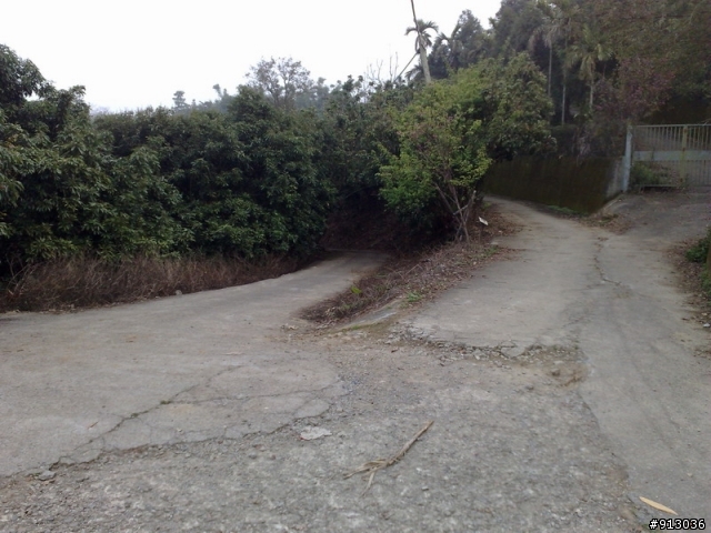 Enter bike踏板開箱文--老鼠崎產業道路