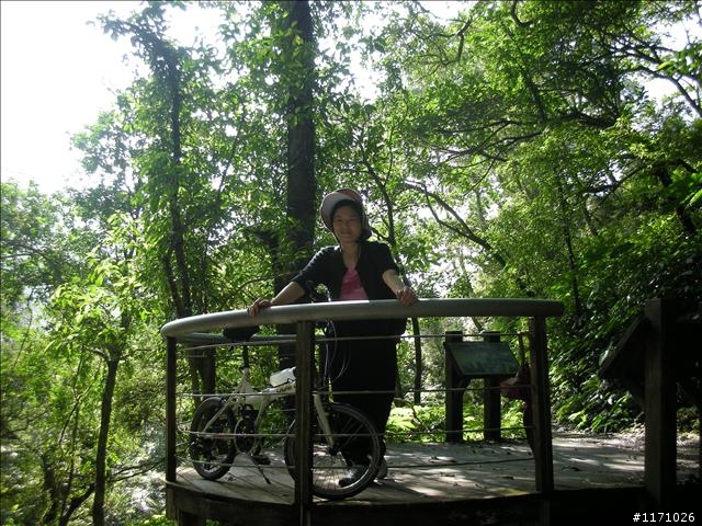聖母山莊步道