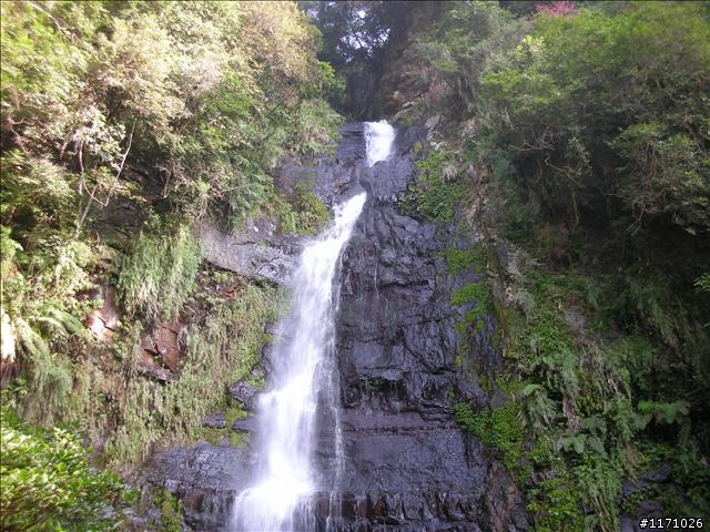 聖母山莊步道
