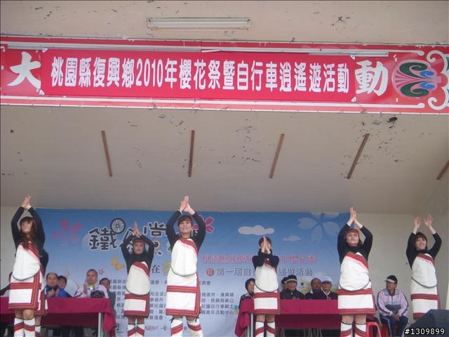 桃園縣復興鄉「2010年櫻花季暨自行車逍遙遊活動」 沒來真的很可惜喔