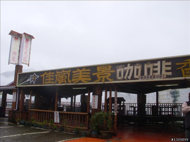桃園縣復興鄉「2010年櫻花季暨自行車逍遙遊活動」 沒來真的很可惜喔